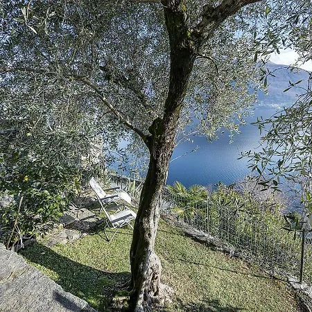 شقة Ulivolimone Vista Con Giardino E Veranda *